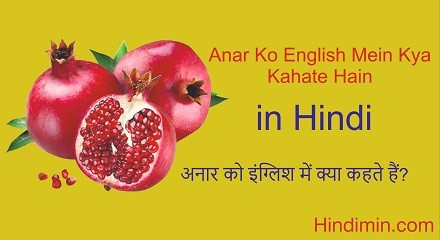 Anar Ko English Mein Kya Kahate Hain (अनार को इंग्लिश में क्या कहते हैं