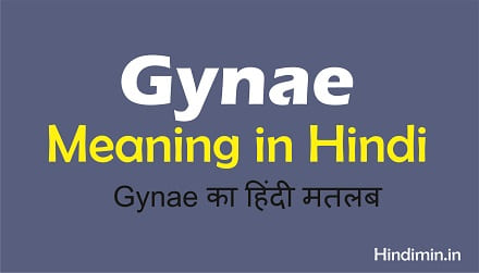 Gynae Meaning in Hindi