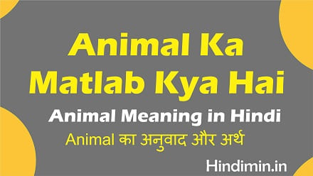 Animal Ka Matlab Kya Hai | Animal Meaning in Hindi