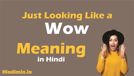 Just Looking Like a Wow Meaning in Hindi