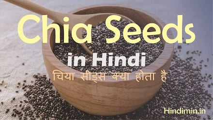 Chia Seeds in Hindi | जानिए चिया बीज के फायदे ,नुकसान
