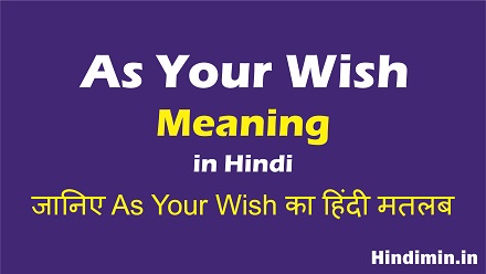 As Your Wish Meaning in Hindi