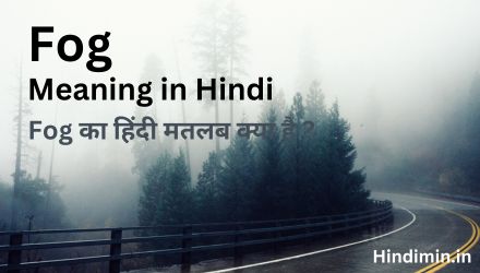 Fog Meaning in Hindi