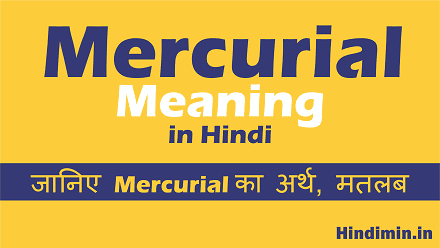 Mercurial Meaning in Hindi