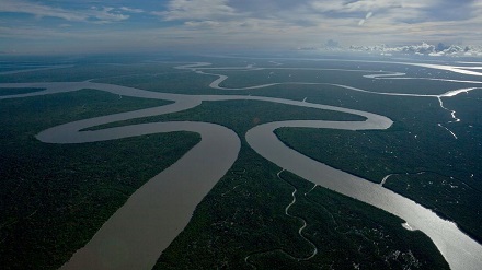Sundarvan Delta