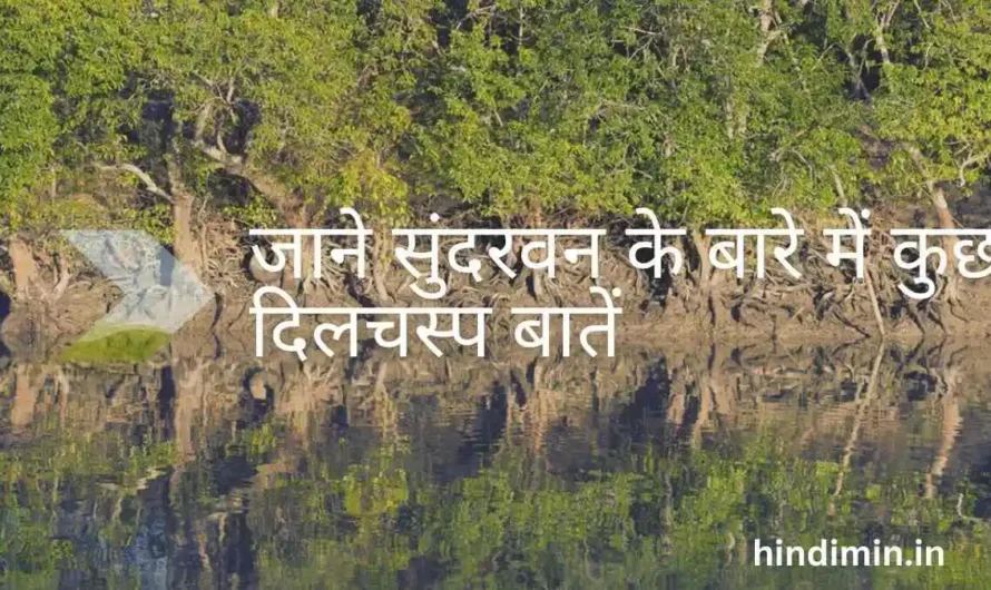 Sundarvan Kahan Hai | जाने सुंदरवन के बारे में कुछ दिलचस्प बातें