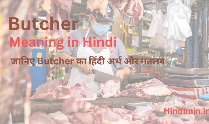 Butcher Meaning in Hindi | जानिए Butcher का हिंदी अर्थ और मतलब