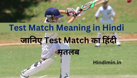 Test Match Meaning in Hindi