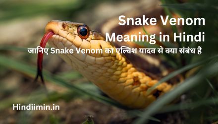 Snake Venom Meaning in Hindi | Snake Venom का एल्विश से संबंध