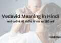 Vedavid Meaning in Hindi